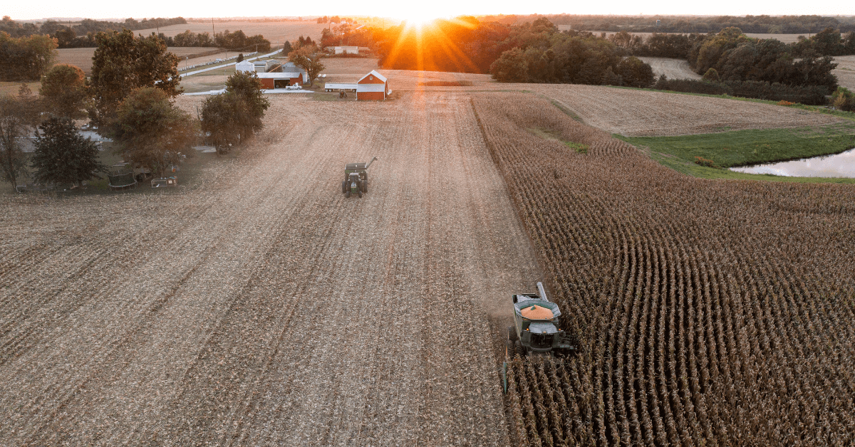 Featured Image for Land Auctions Explained: A Guide to Understanding the Land Auction Process